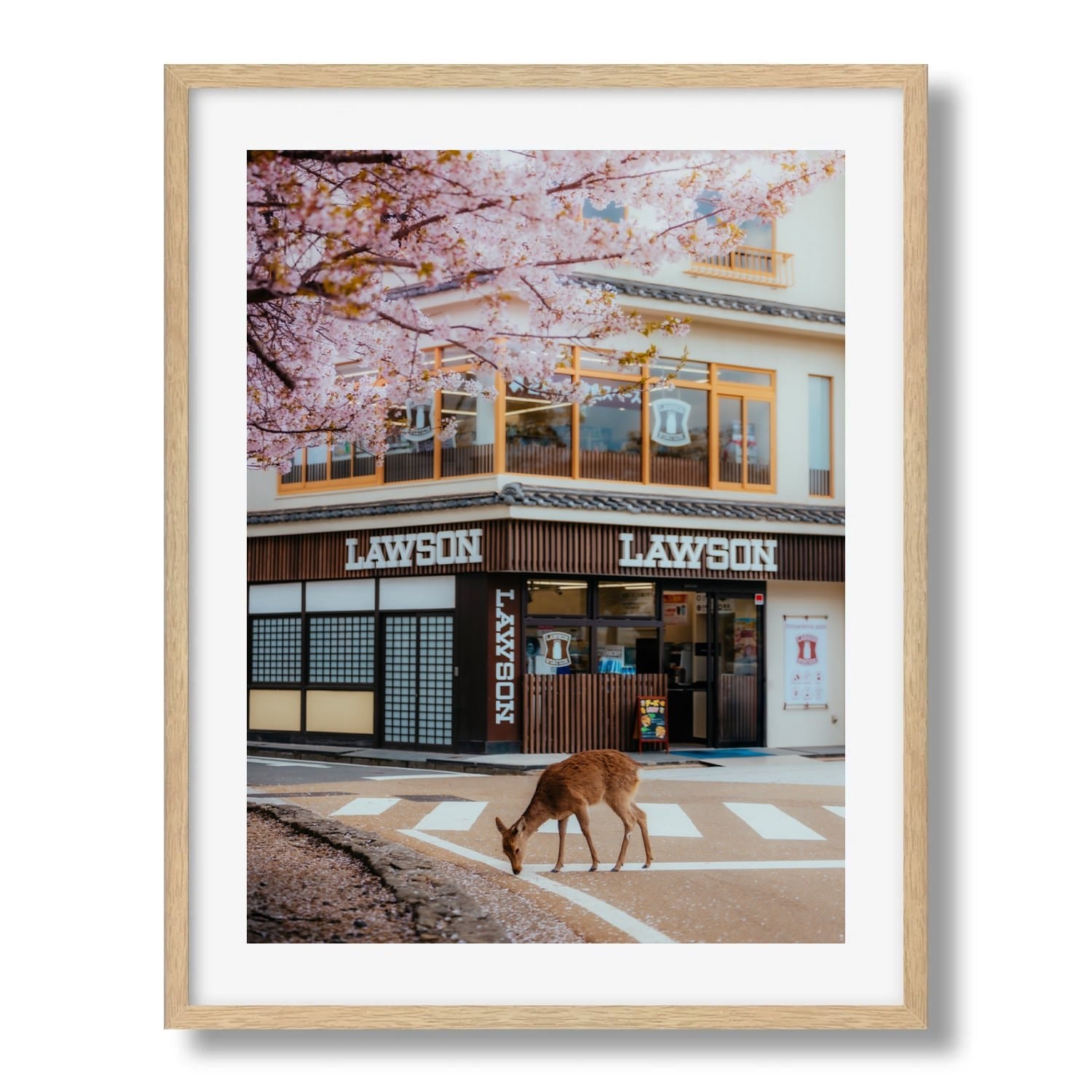 A Deer Under the Cherry Blossoms at Lawson Miyajima - Peter Yan Studio Framed Photo Print Wall Art