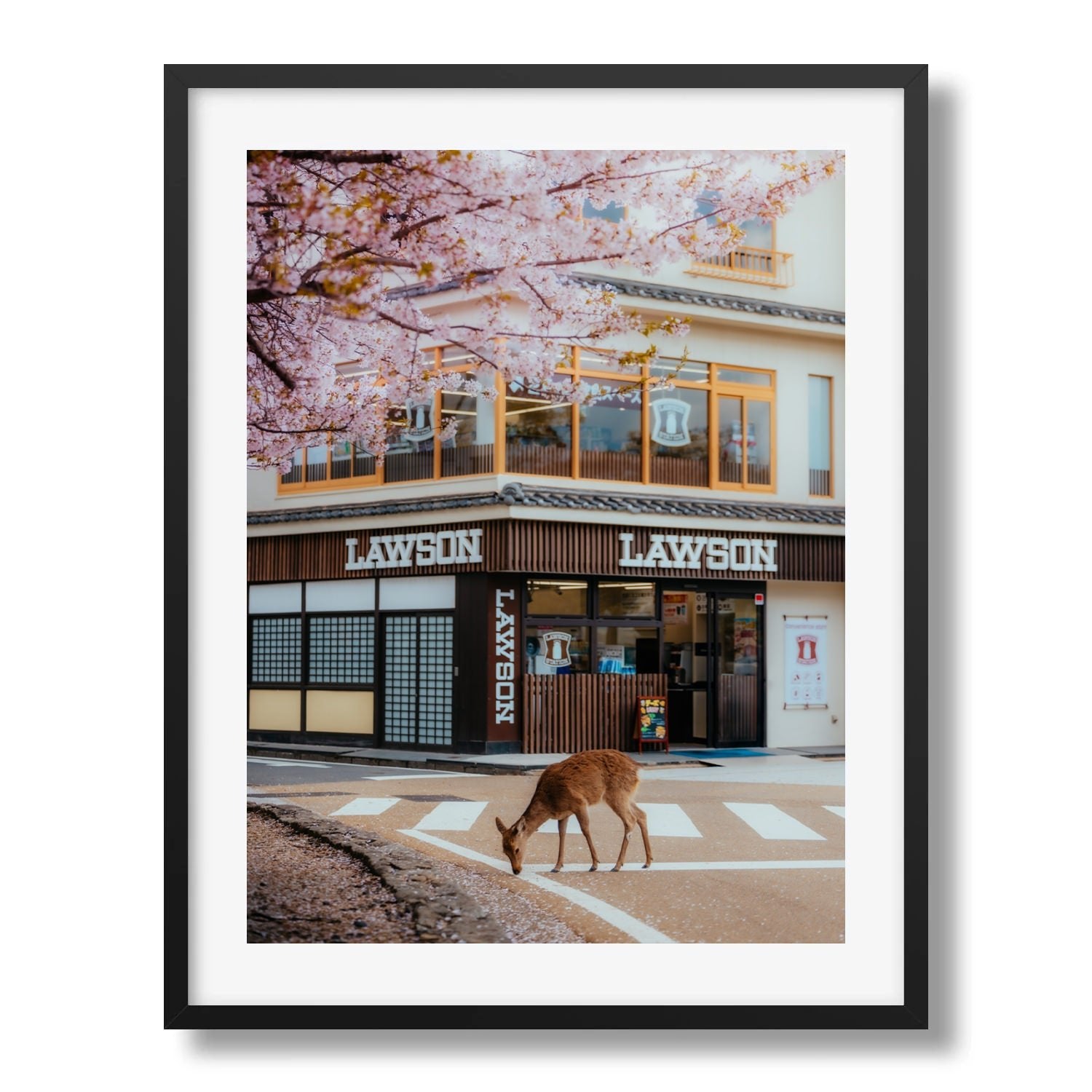 A Deer Under the Cherry Blossoms at Lawson Miyajima - Peter Yan Studio Framed Photo Print Wall Art