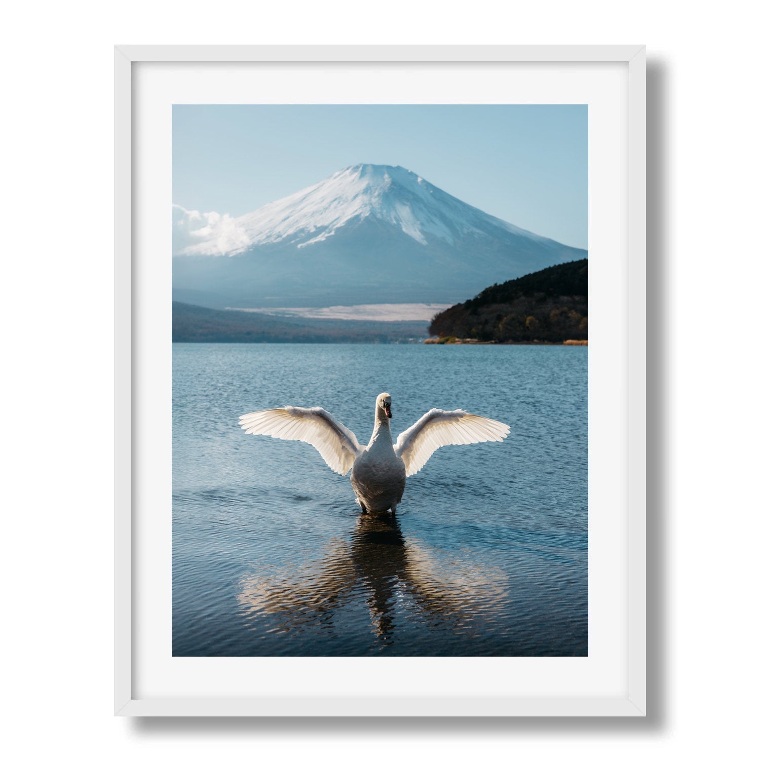 A Swan's Dance by Mt Fuji - Peter Yan Studio Framed Photo Print Wall Art