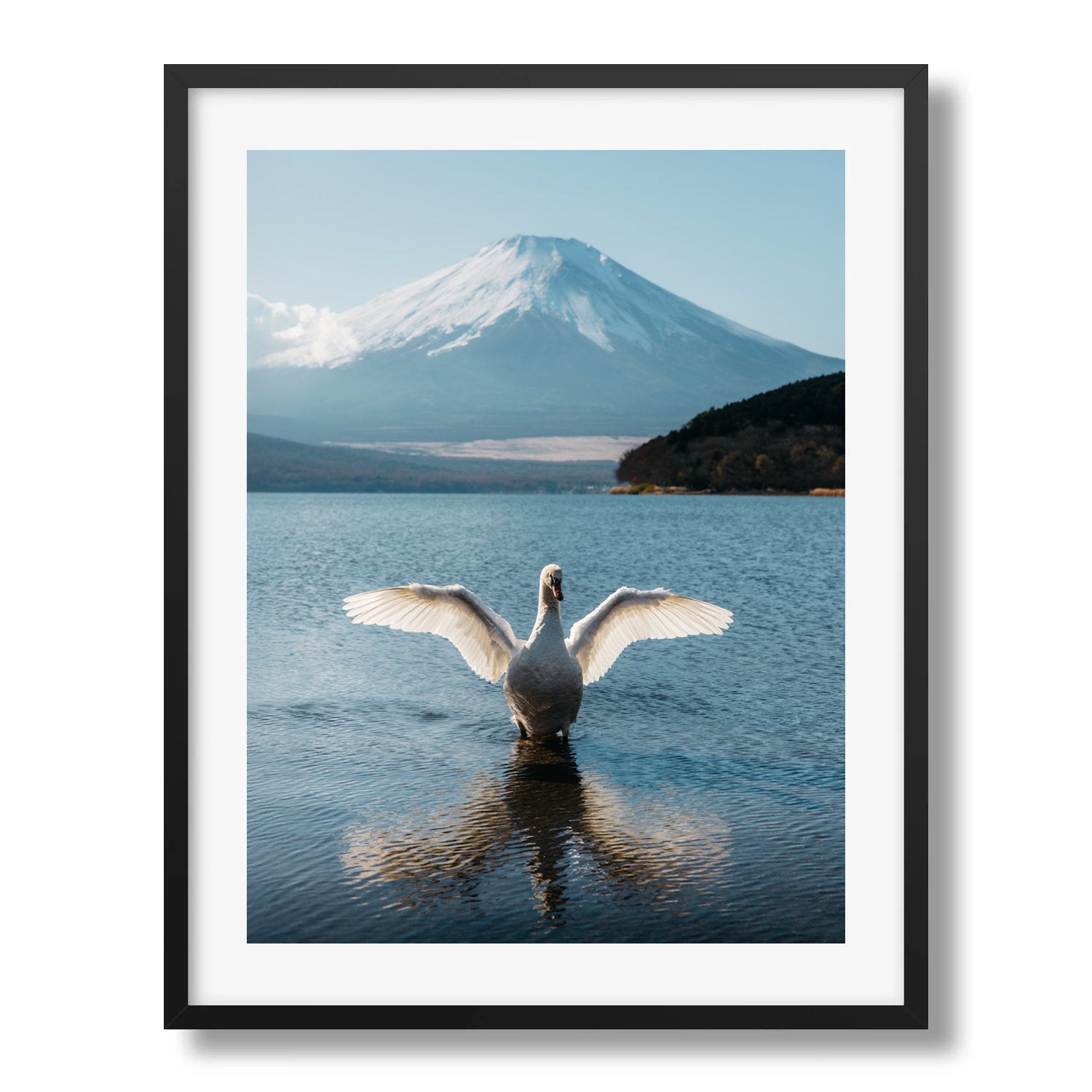 A Swan's Dance by Mt Fuji - Peter Yan Studio Framed Photo Print Wall Art