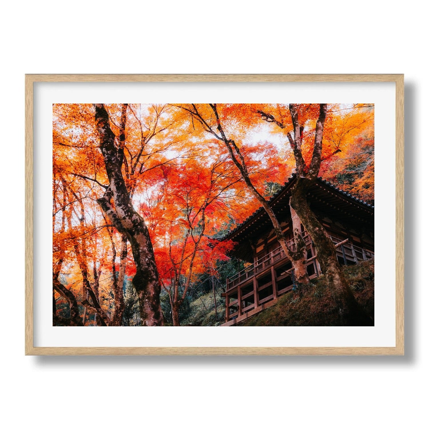 Autumn Glory at a Kyoto Temple I - Peter Yan Studio