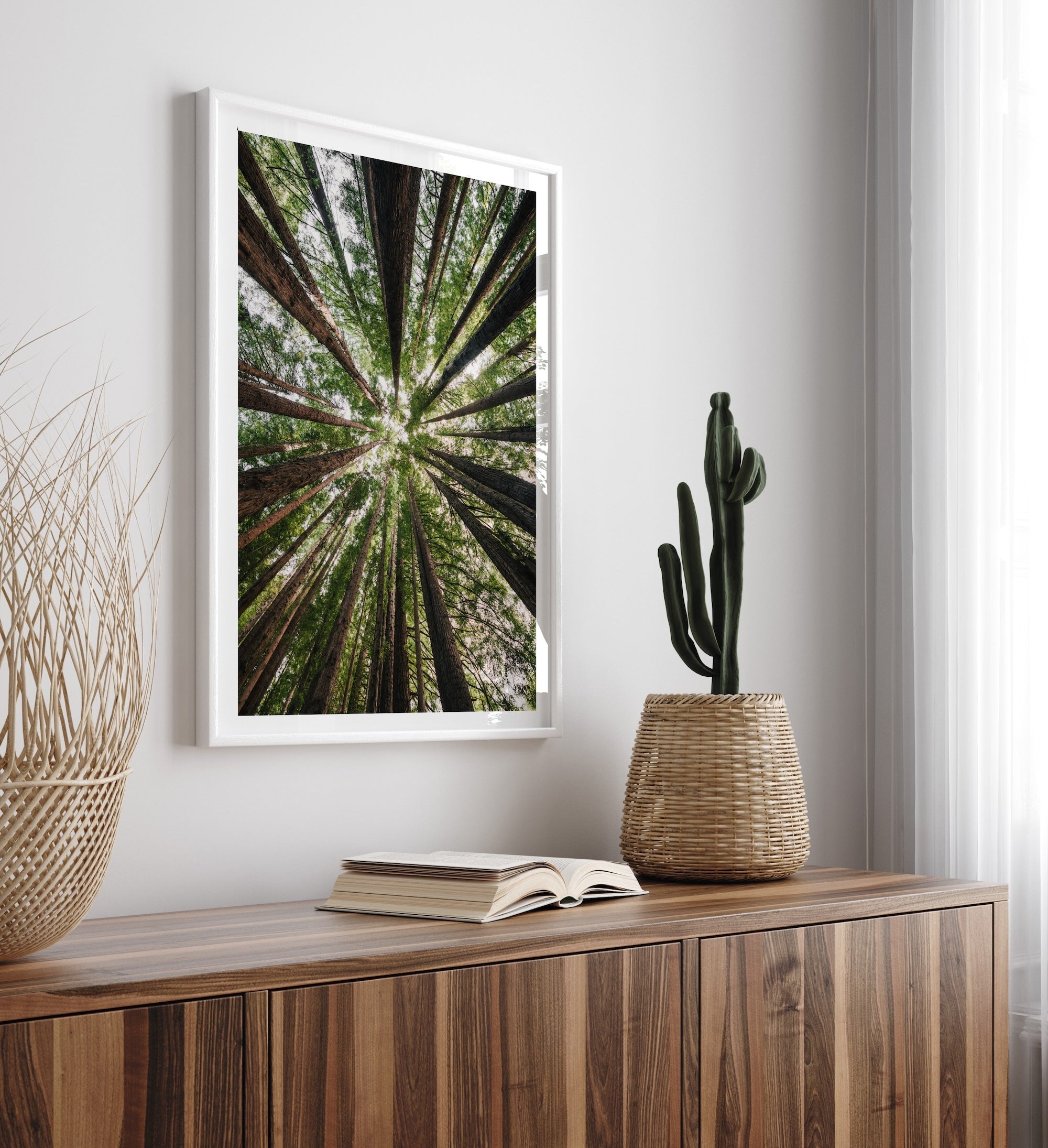 Beneath the Redwood Canopy in Great Otway - Peter Yan Studio Framed Photo Print Wall Art