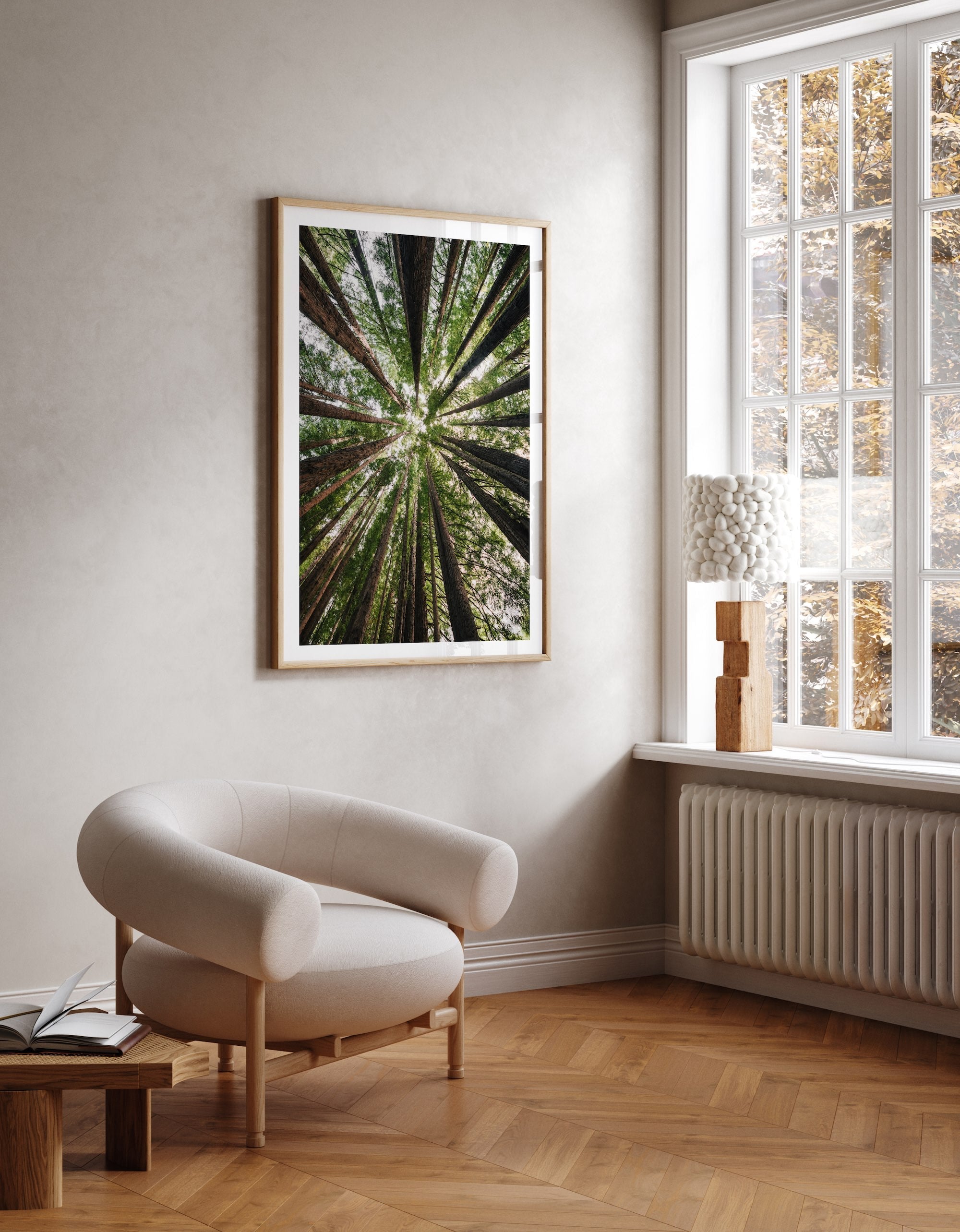 Beneath the Redwood Canopy in Great Otway - Peter Yan Studio Framed Photo Print Wall Art