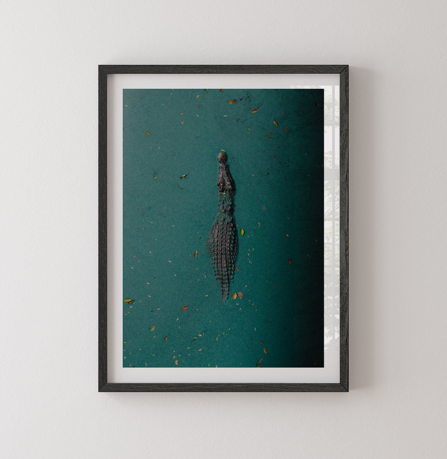 Broome Crocodile: Emerald Waters - Peter Yan Studio