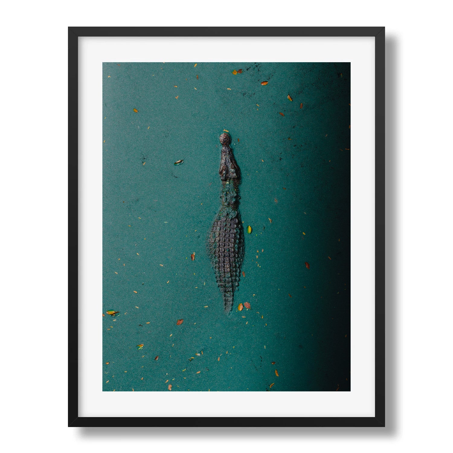 Broome Crocodile: Emerald Waters - Peter Yan Studio Framed Photo Print Wall Art