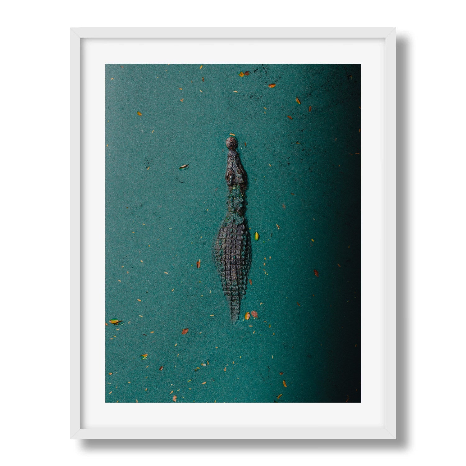 Broome Crocodile: Emerald Waters - Peter Yan Studio Framed Photo Print Wall Art