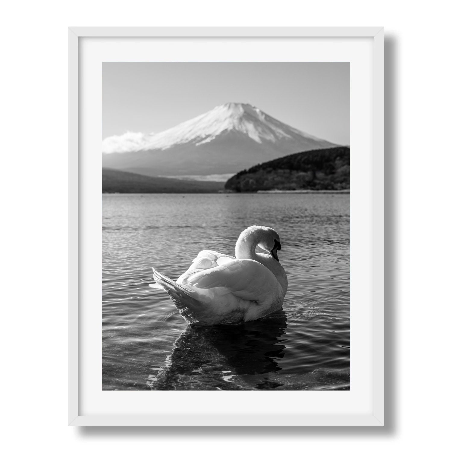 Swan Resting at Mt Fuji in Black and White II - Peter Yan Studio Framed Photo Print Wall Art