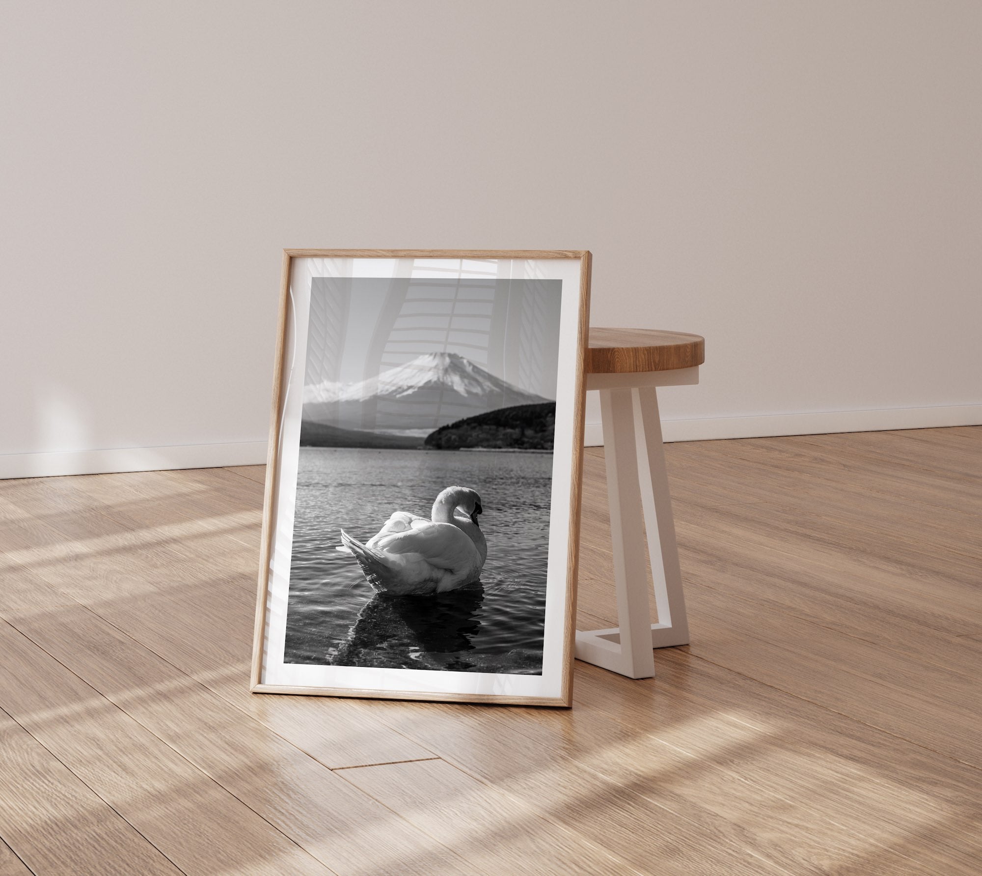 Swan Resting at Mt Fuji in Black and White II - Peter Yan Studio