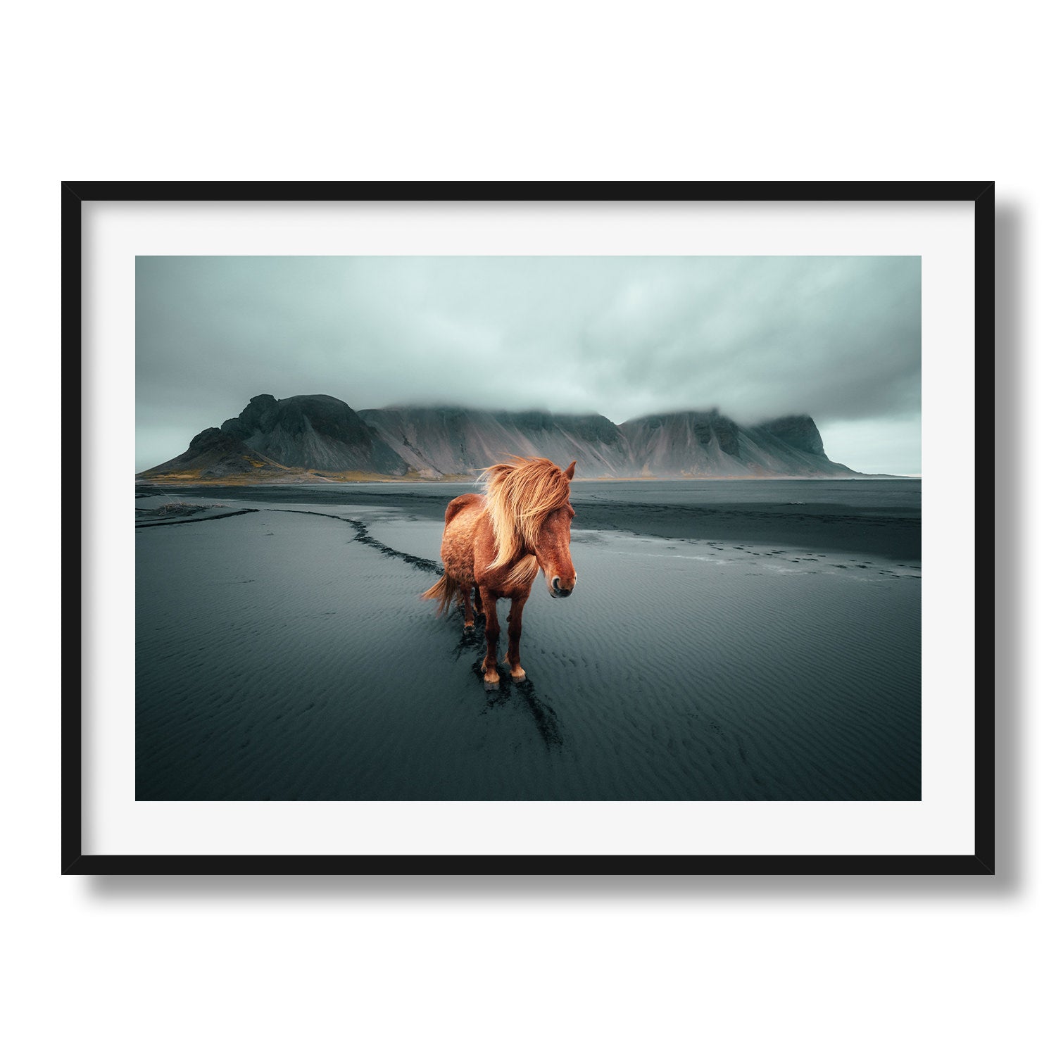 Iceland Horse Black and White Print, Horse Photography, Black and White Wall Decor, Iceland Wall popular Decor, Office Art, Grunge Decor